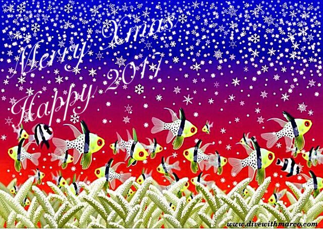 DiveWithMarco's tweet photo. https://t.co/W9FY8QIx8W 🎄😃 https://t.co/dairGSXwB9