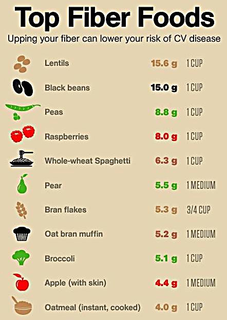 Fiber Content Of Foods Chart