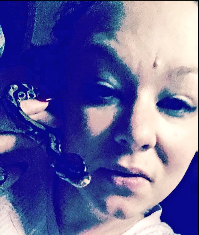 lindseyKthomaso's tweet image. #fireballPython