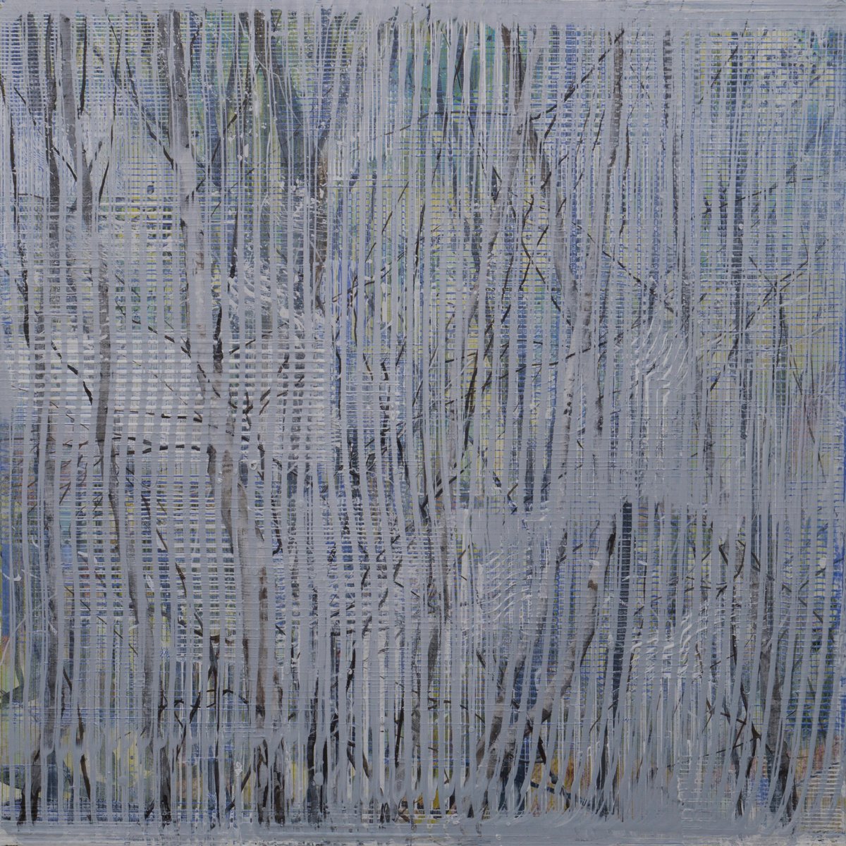 VisitSomerset's tweet photo. New Event #FromeEvent - Clive Walley – ‘Birches in Mist’ - @BlackSwanArts @DiscoverFrome @VisitSomerset https://t.co/0l0kdzpQxo https://t.co/Wo9K3xNQ1H