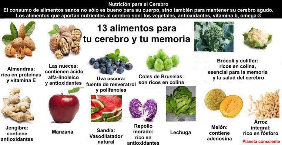 Alimentos que aumentan la progesterona