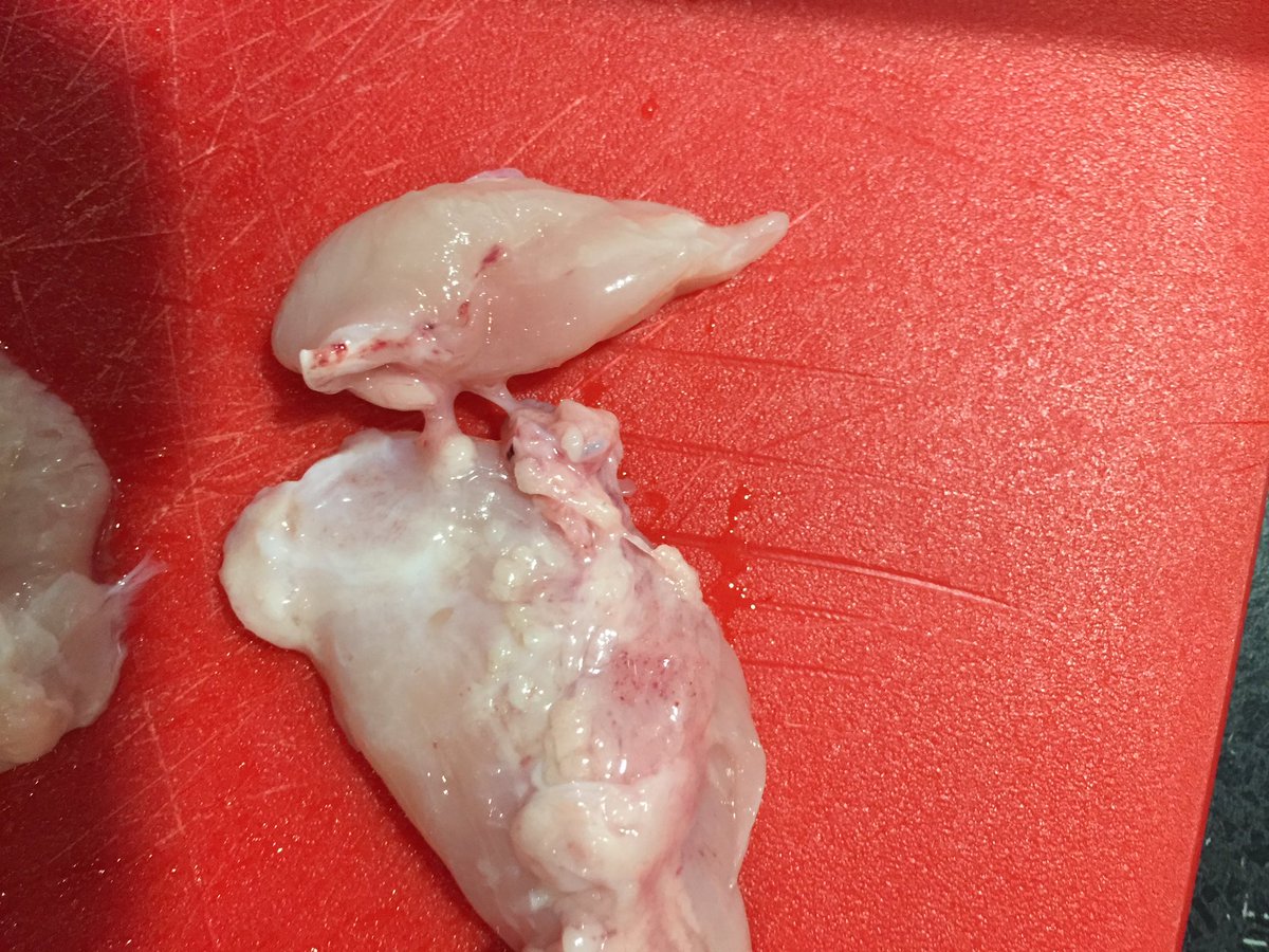 hashtag_marlow's tweet photo. @coopukfood nice bit of chicken tonight from your store #yum so much blood/blood clots and disgusting bits #luckyicanonlysendfourphotos https://t.co/ddVPLufCkL