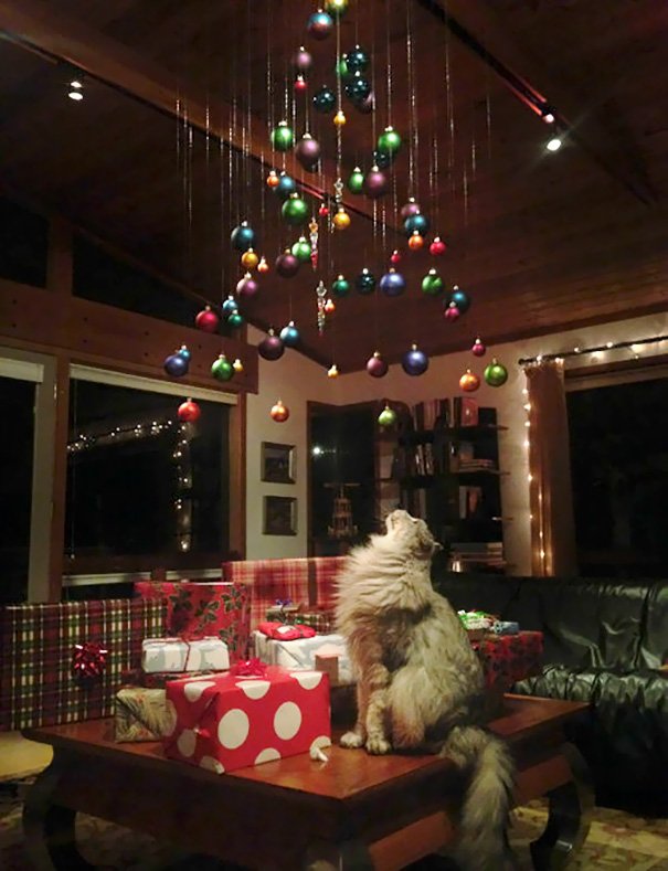 ペットからクリスマスツリーを守るべく飼い主達が考えたアイデアがどれもこれも天才的すぎて笑い止まらず Togetter ペットからクリスマスツリーを守るべく飼い主達が考えたアイデアがどれもこれも天才的すぎて笑い止まらず Togetter