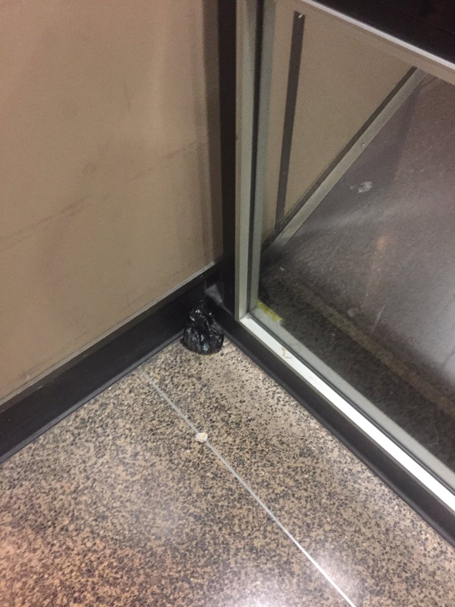 port_seattle's tweet photo. The #PoopBandit is back! https://t.co/KaPbNRMgEm