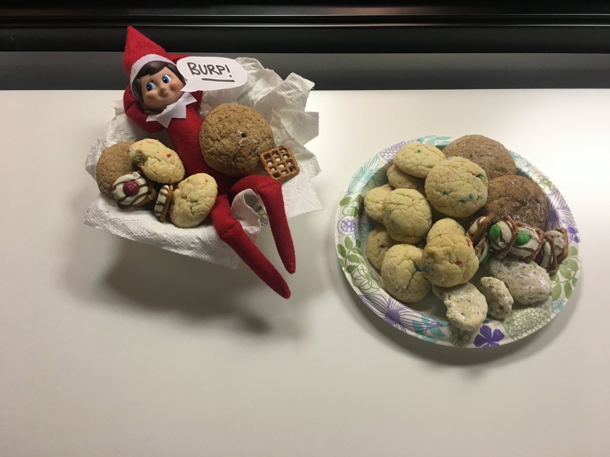 IAmAnEdgecase's tweet photo. The best way to spread Holiday cheer is... COOKIES! Insight the Elf is in a cookie coma thanks to Kristen.... #LifeatEdgecase #IamanEdgecase https://t.co/NUiPvAnK4P