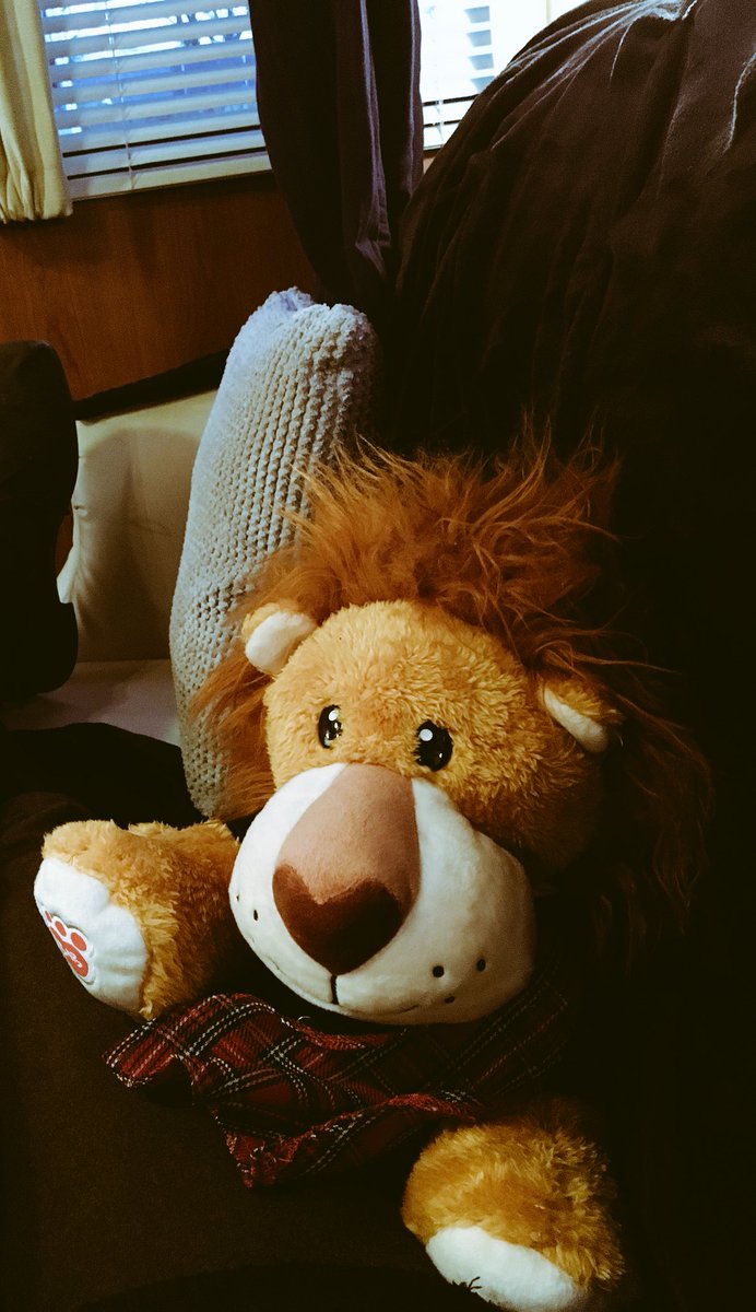 Off to celebrate Xmas holidays!!! 

Before the world ends. 

Stay safe all.xx

(This is "Jamie the Tiger". 
He's a lion. Keeps me company)