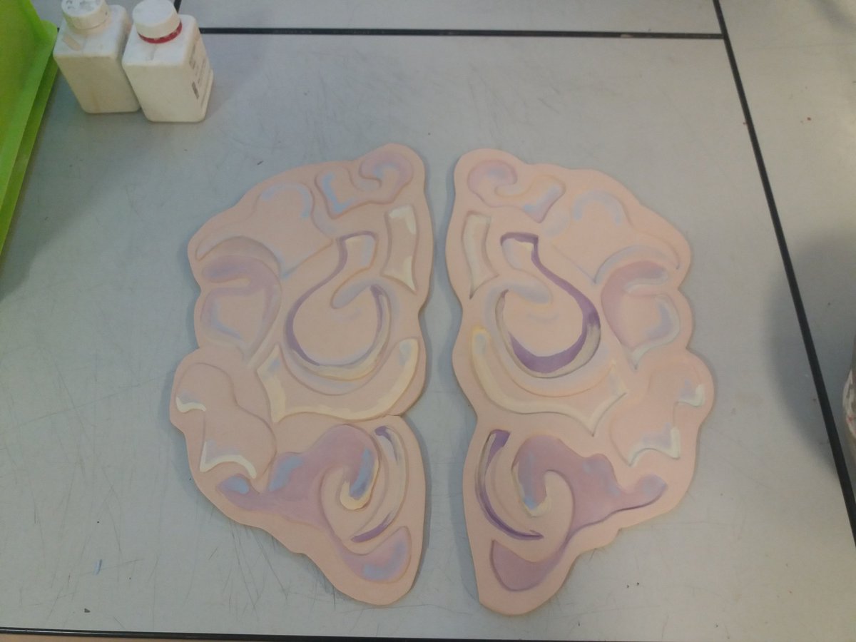 Cozzieanne's tweet photo. #ceramic #brain for the #mural @stockleyacademy! #pottery #studebts #stockleyart https://t.co/XcrnS7iXax