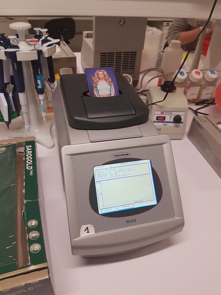 bryancmounce's tweet photo. This is how I ensure that my PCR works. #sciencevoodoo #helpmebritney https://t.co/tp7PcBtRdn