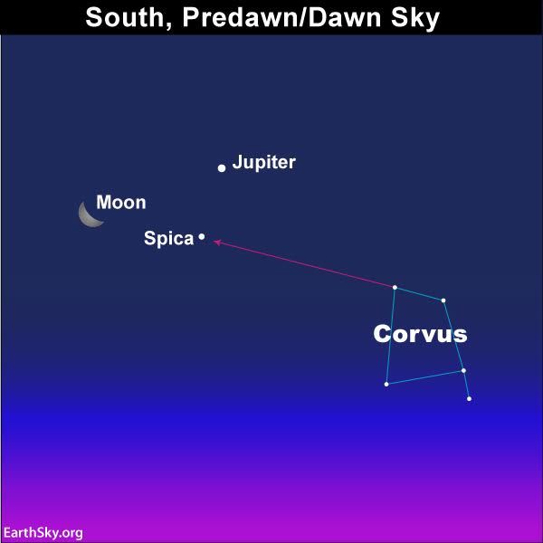 earthskyscience's tweet image. Friday before dawn … Moon, Jupiter, Spica 
bit.ly/2i589kO

Did you see them Thursday morning?  Watch for them Friday, too.