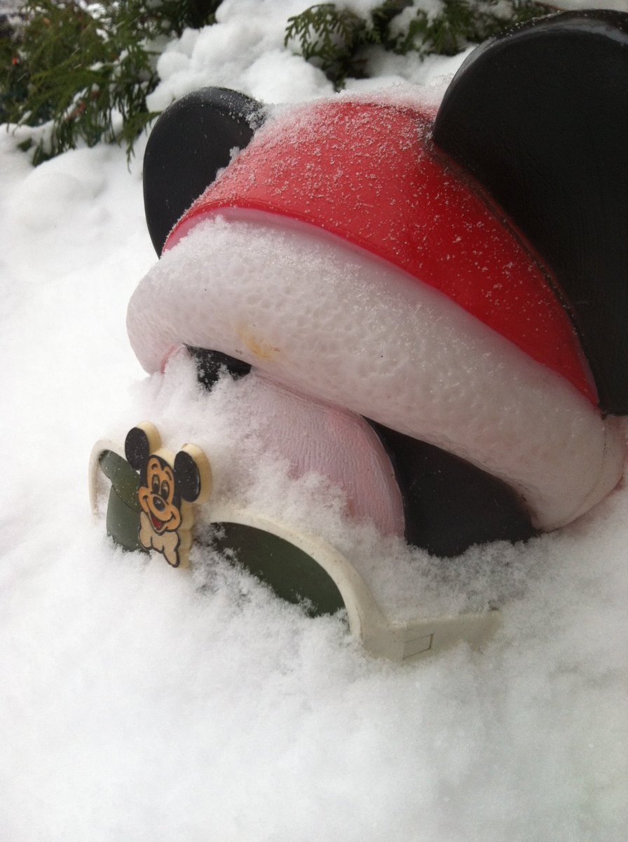 McQDisneyMadnss's tweet photo. #ItsTheMost #WonderfulTime #OfTheYear https://t.co/ekdcTYC1wU