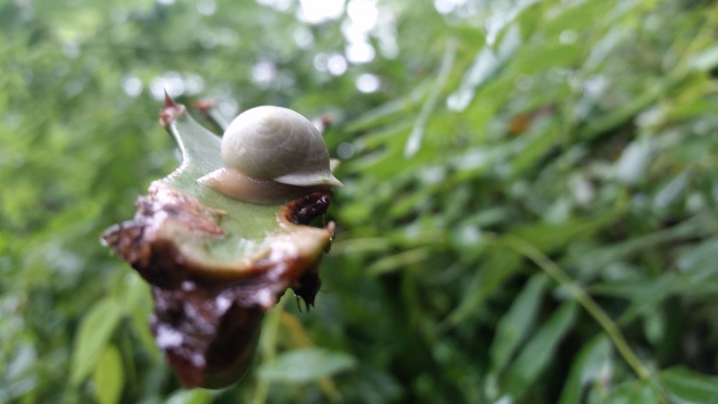 Why Not to be a First Generation College Student thelittleplans.wordpress.com/2016/12/22/why…