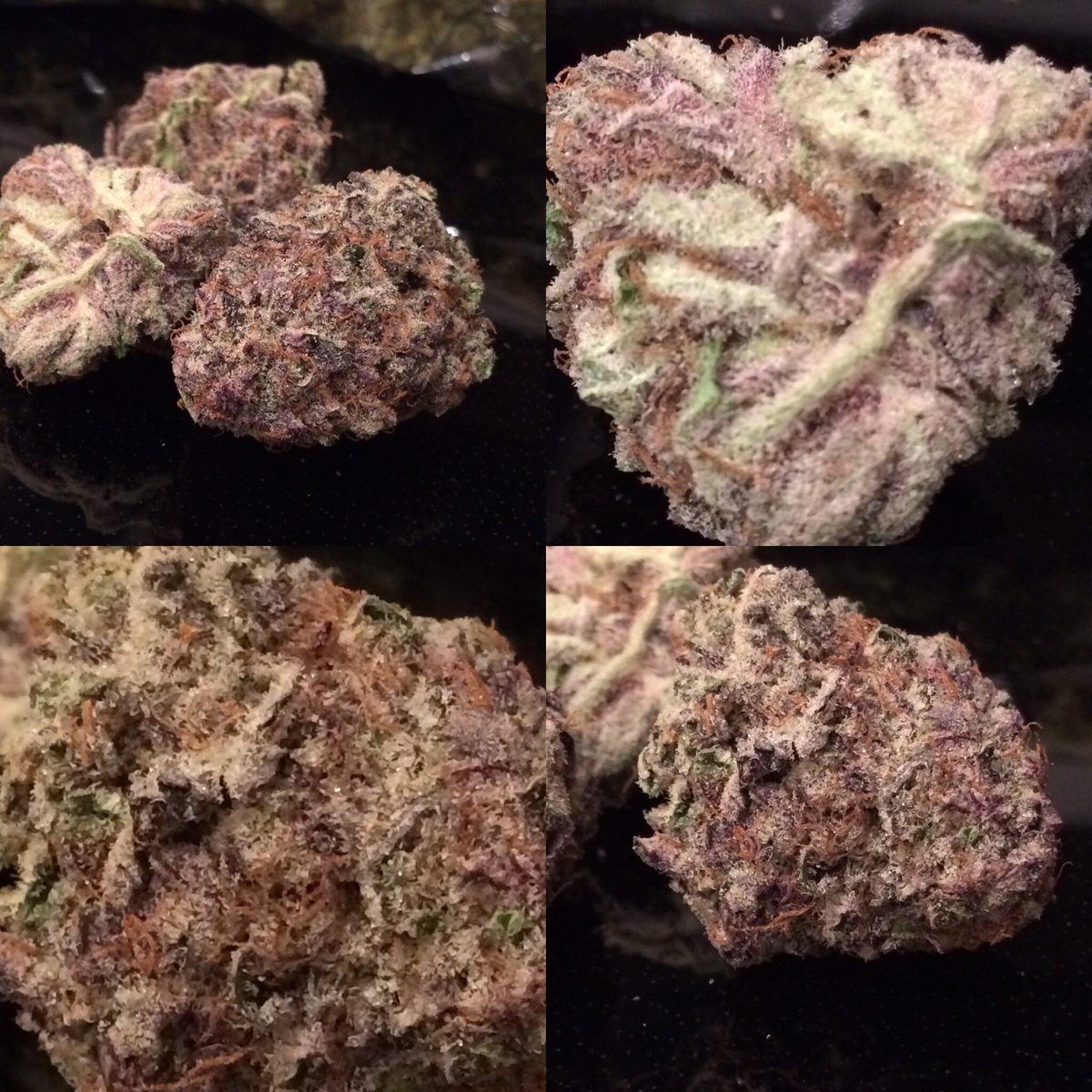 TheRealSamsonS's tweet photo. Grand Daddy Purple X  White Rhino strain no. 1

#Cannabis #HighGrade #BudPlatinum #TopShelf #bud #CannabisCommunity #stoned #SamsonSimpson https://t.co/vzJHYUnknp