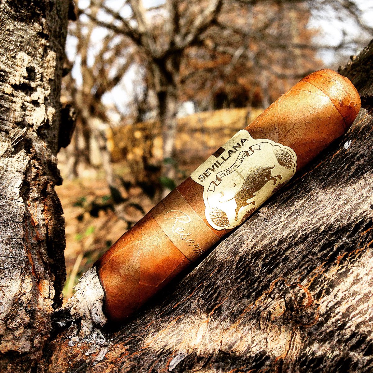 ImaTexican8's tweet photo. #SevillanaReserve from @CaldwellCigars &amp; coffee to start the day. #caldwellcigarco #iberianexpress @atllogix https://t.co/wnsy4atZNs