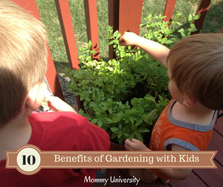 LotusDawn's tweet photo. Benefits of Gardening with Kids https://t.co/B6rhBij8O0 #KidsGardening #GardeningTips https://t.co/MtZBaJXm7b