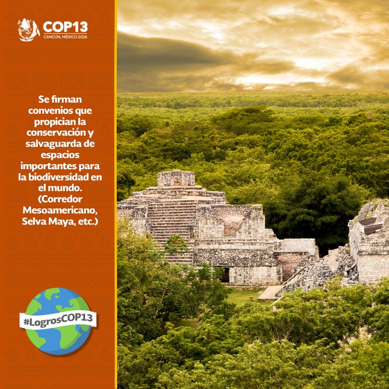 Son estos acuerdos los que nos ayudan a conservar la #biodiversidad de los países y del mundo. #COP13 #LogrosCOP13