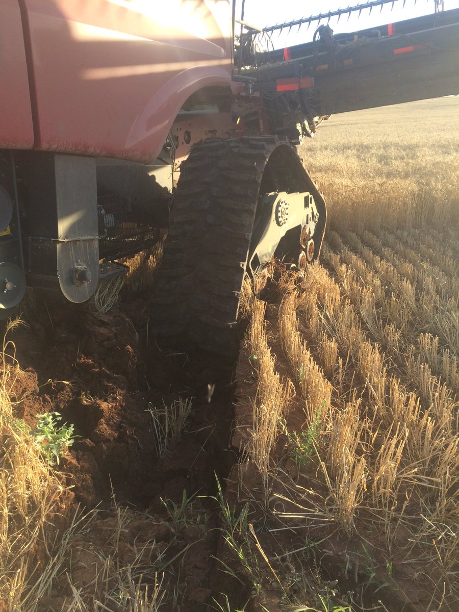 Fox_Farming's tweet photo. Some more #bog16 pics. Still can't believe it got out of this one by itself. https://t.co/YQrTfW1FeM