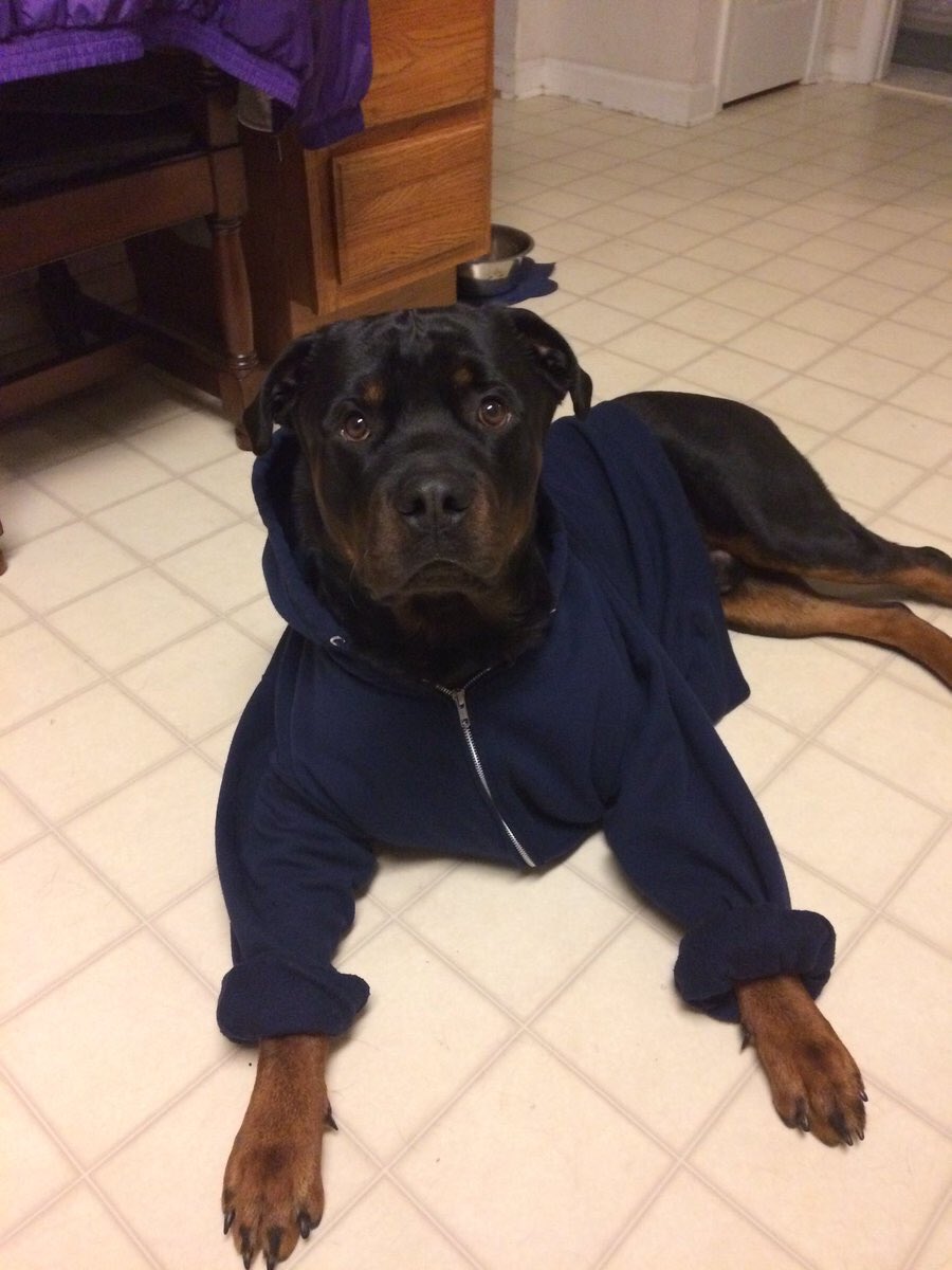 when the temperature drops from 80 to 79