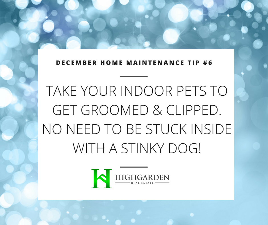 December Home Maintenance Tip #6: Take your indoor pets to get groomed &amp; clipped. No need to be stuck inside with a stinky dog!