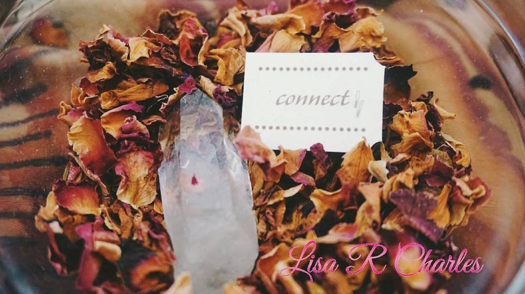 LisaRCharles's tweet photo. Day 22 : This Year Was..."about connection.
#DecemberReflections2016 'Connect' was my word… https://t.co/ihZUkt7fRQ https://t.co/xsmQQbJCWN