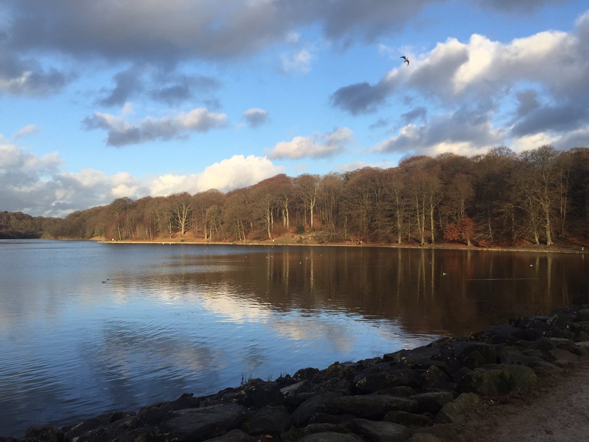 Beautiful afternoon <a href="/roundhaypark/">RoundhayPark</a> :)