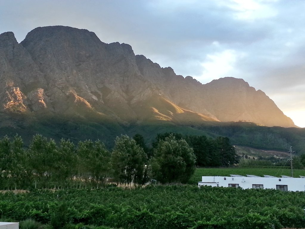poplarschef's tweet photo. Hello franschhoek! @Franschhoek_SA  @GerardHolden @holdenmanz https://t.co/8dlribzlRg