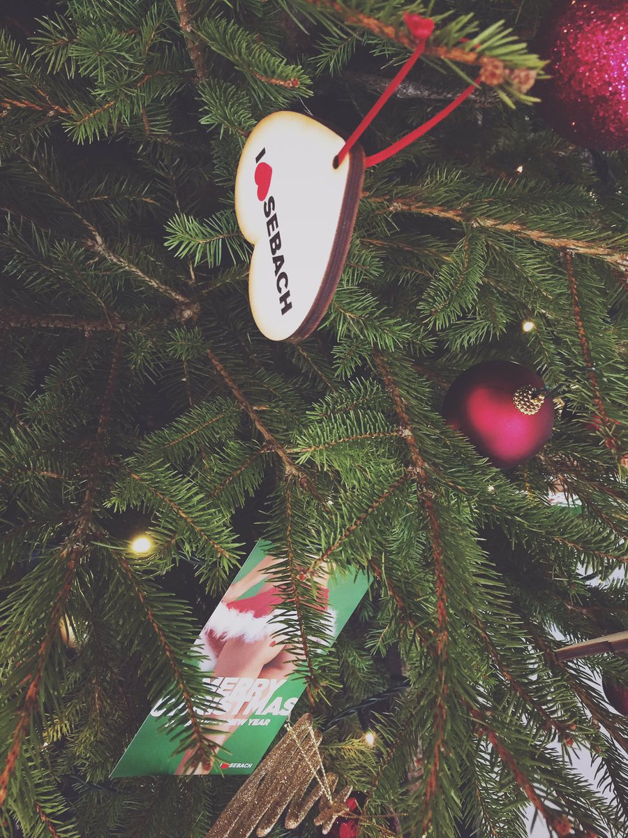 inedodoc's tweet image. I❤️#sebach natali fortunati a tutti!