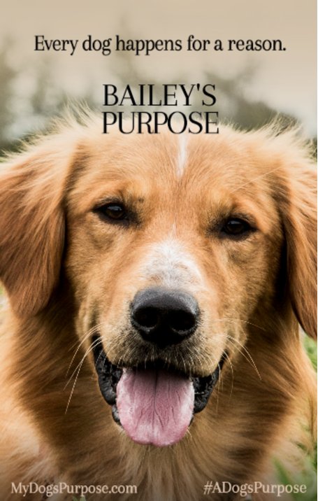 How To Make Ur Dog A Service Dog How To Make Ur Dog A Service Dog