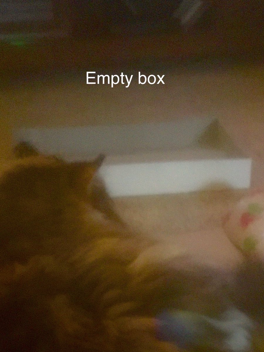 joultship's tweet photo. #CatLogic https://t.co/apZ4tKxE0H