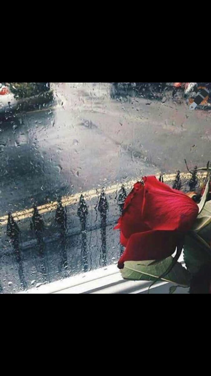 .
.
احسب ان العشق فترة فرآغ ولايدوم 
مَا دريت انه يغيّر . .  مفاهيم الحياه
.
.
.