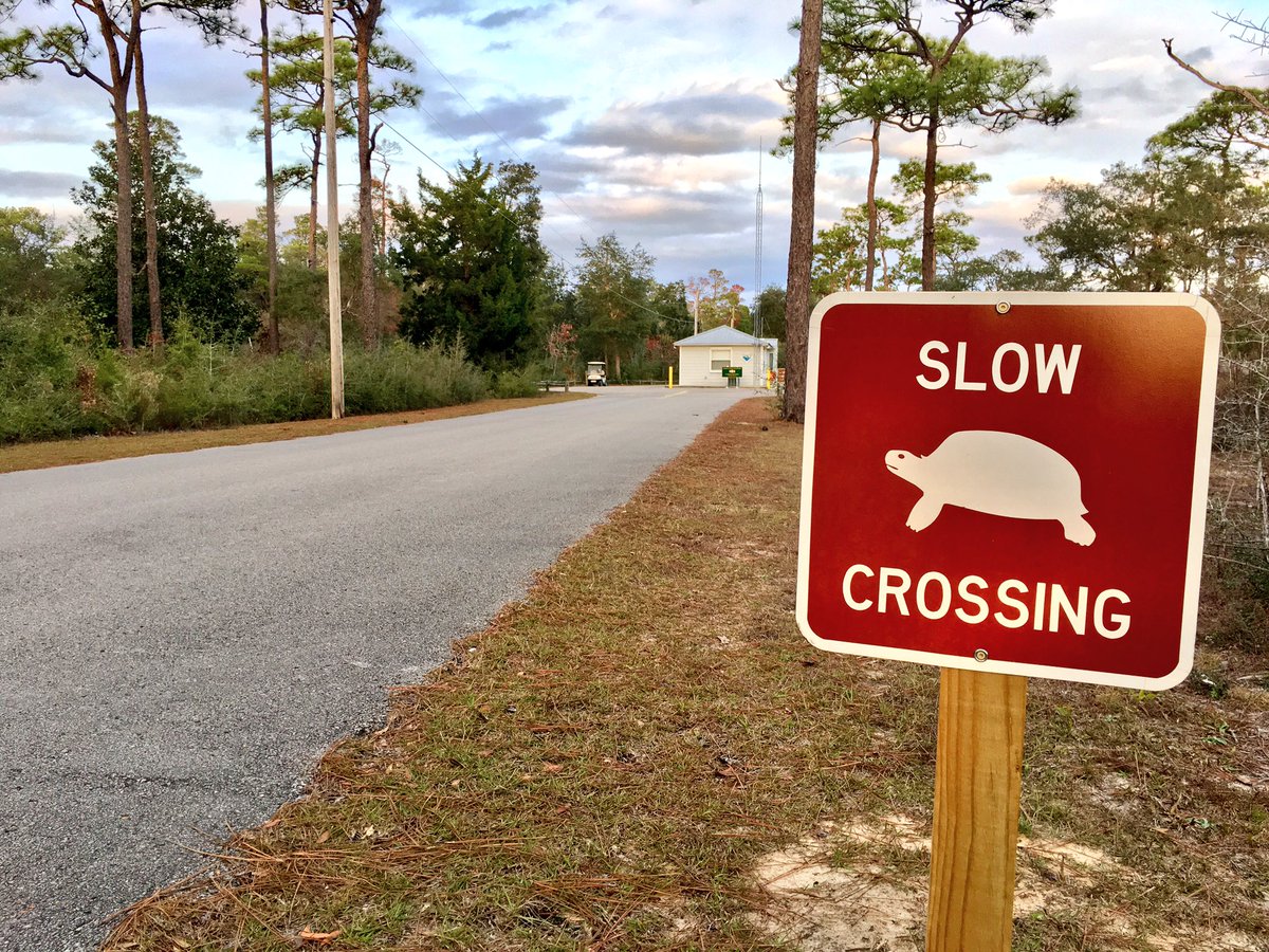 gorvnw's tweet photo. Slow down and enjoy the Holiday Season!! #gorving #sharingeconomy #gorvnow #rvrentals https://t.co/IcSdbEu0ey