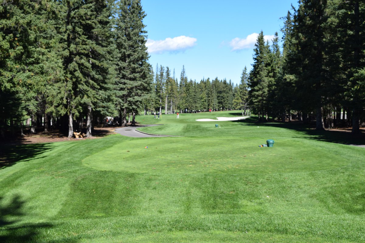 PGA of Alberta (@pgaofalberta) on Twitter photo #ThrowbackThursday Thanks to <a href="/SundreGolfClub/">Sundre Golf Club</a> for hosting this years' <a href="/pgaofalberta/">PGA of Alberta</a> #TourChampionship sponsored by <a href="/SuniceSports/">Sunice Sports</a> #TBT #ThrowbackThursday Thanks to <a href="/SundreGolfClub/">Sundre Golf Club</a> for hosting this years' <a href="/pgaofalberta/">PGA of Alberta</a> #TourChampionship sponsored by <a href="/SuniceSports/">Sunice Sports</a> #TBT