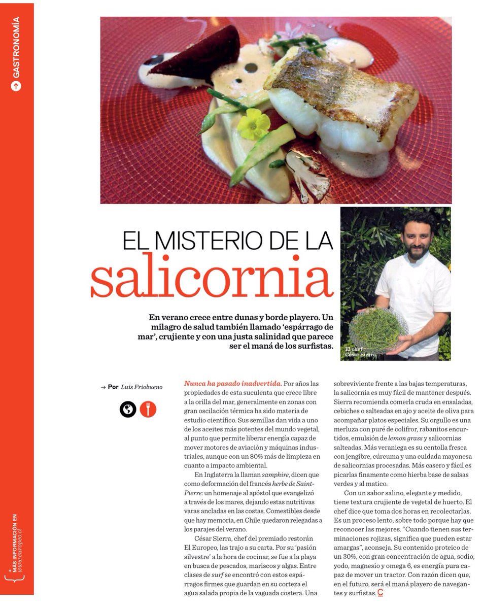 Nuestro chef César Sierra descubre "El misterio de la salicornia" en @Caraschile #RestaurantEuropeo