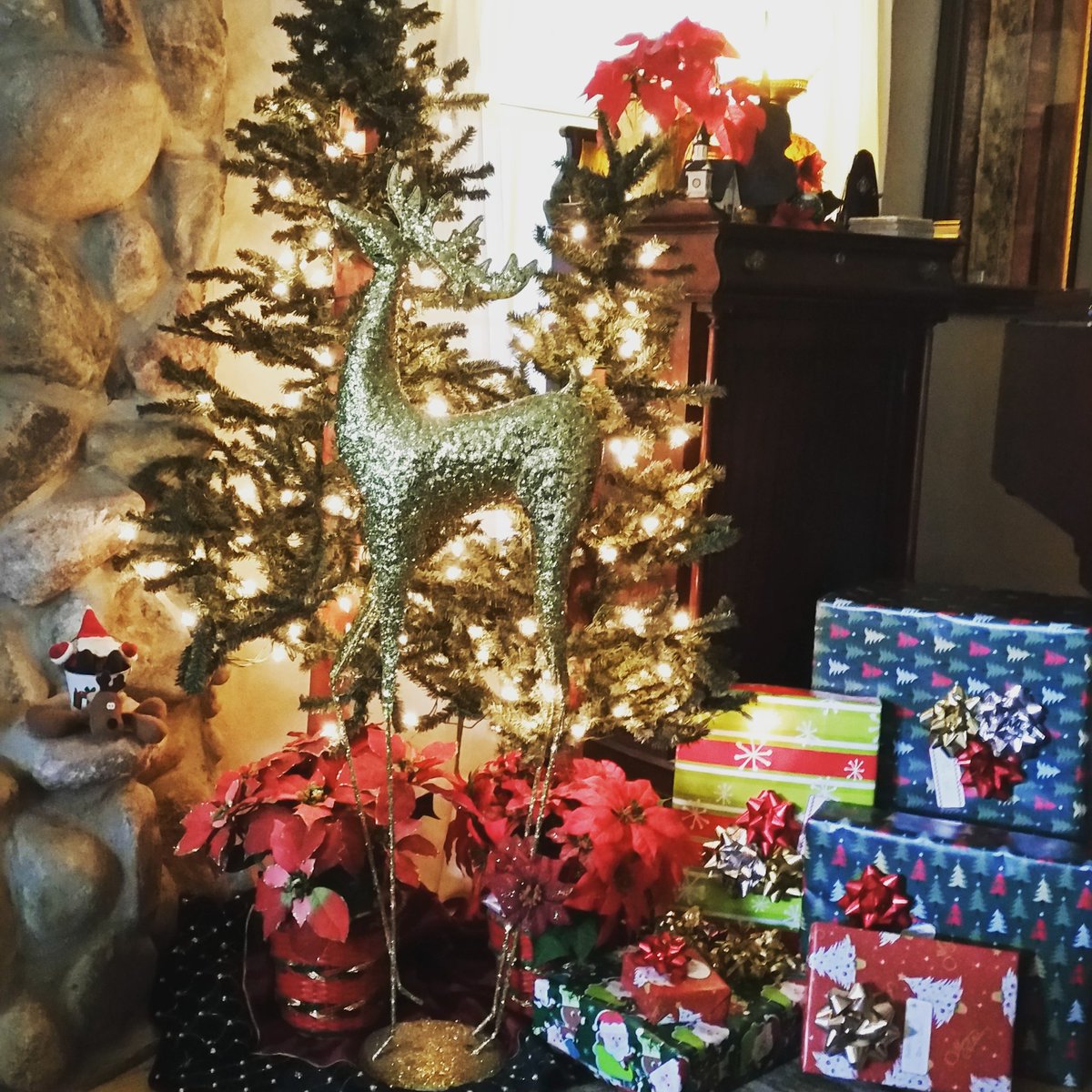 SusanVanVolkenb's tweet photo. We didn't have room for a full tree this year, so this is our cozy alternative. #Christmas #decorations #giftswrapped #newhouse #downsizing https://t.co/h4ycVyCv8c
