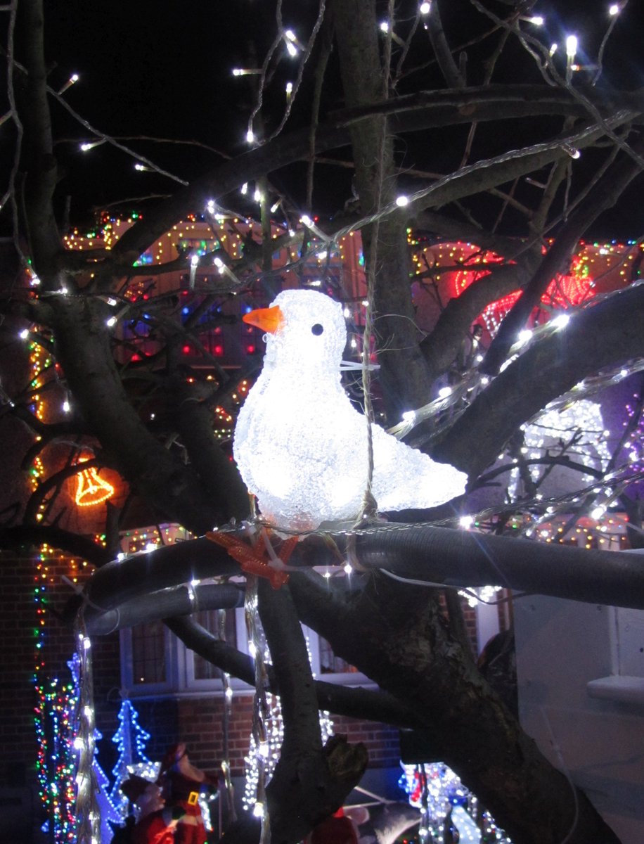 CrikeyCroydon's tweet photo. #Croydon folk: don't miss the magical, dazzling light display at #PinewoodClose, Shirley, this #Christmas. It's all for good causes too! 😀 https://t.co/A68hIShoYI