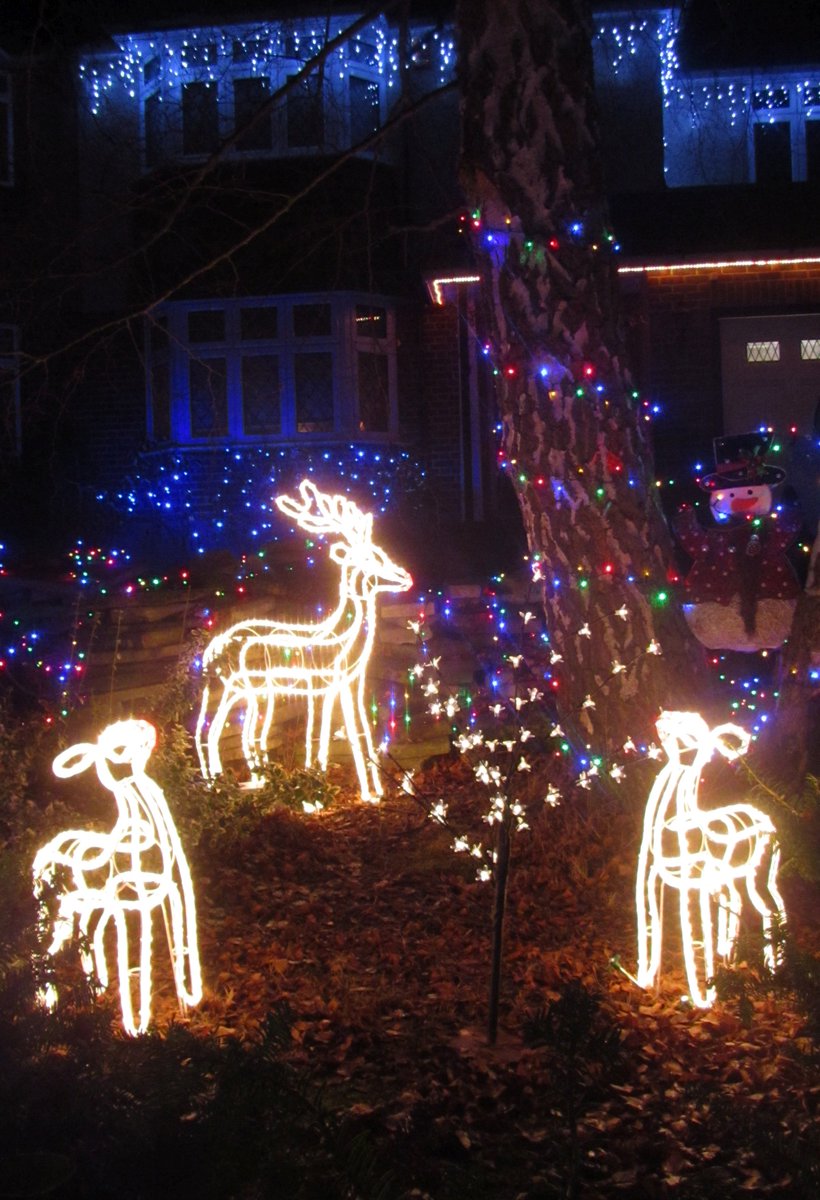 CrikeyCroydon's tweet photo. #Croydon folk: don't miss the magical, dazzling light display at #PinewoodClose, Shirley, this #Christmas. It's all for good causes too! 😀 https://t.co/A68hIShoYI