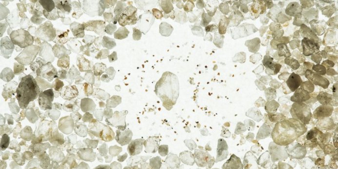 PrivateEyeProj's tweet photo. "To see the univers in a grain of sand..." Fab #animation by Corrie Francis Parks #stem #ngss #criticalthinking https://t.co/WPPpFW8v0T https://t.co/V12kCnNZIX