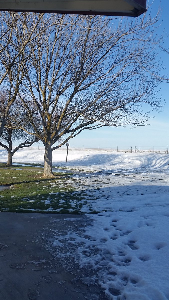 Marty Folsom tweet media