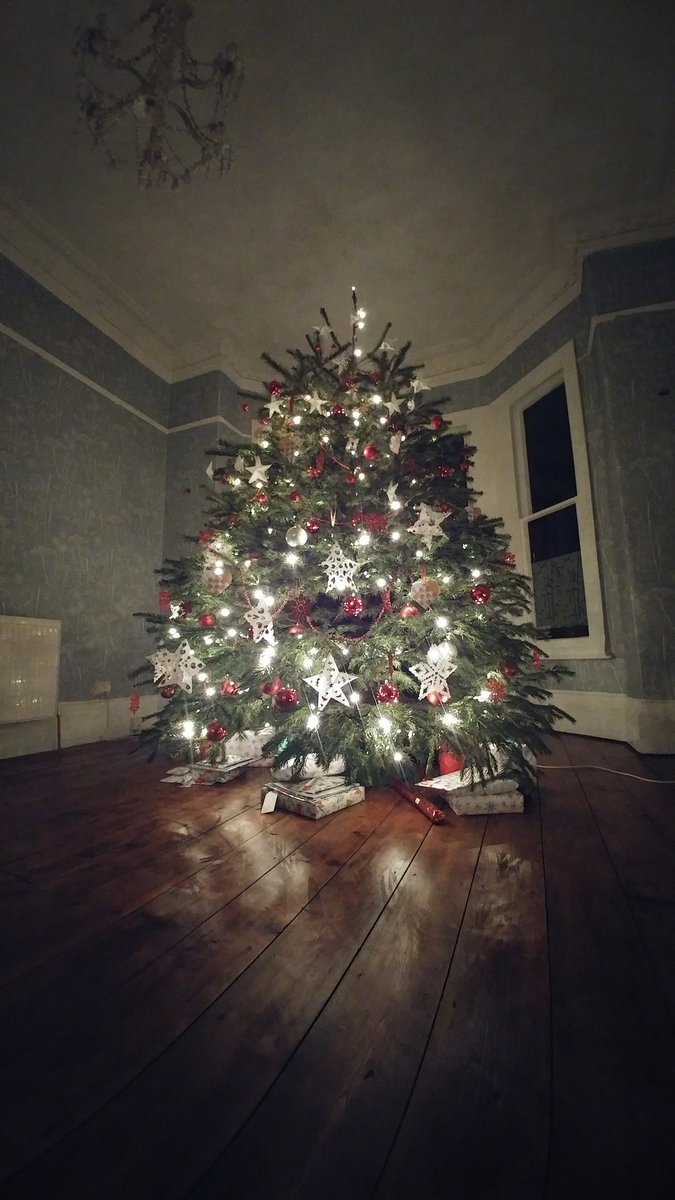 Wallpaper and tree are looking ace! <a href="/BudGardenCentre/">Bud Garden Centre</a>