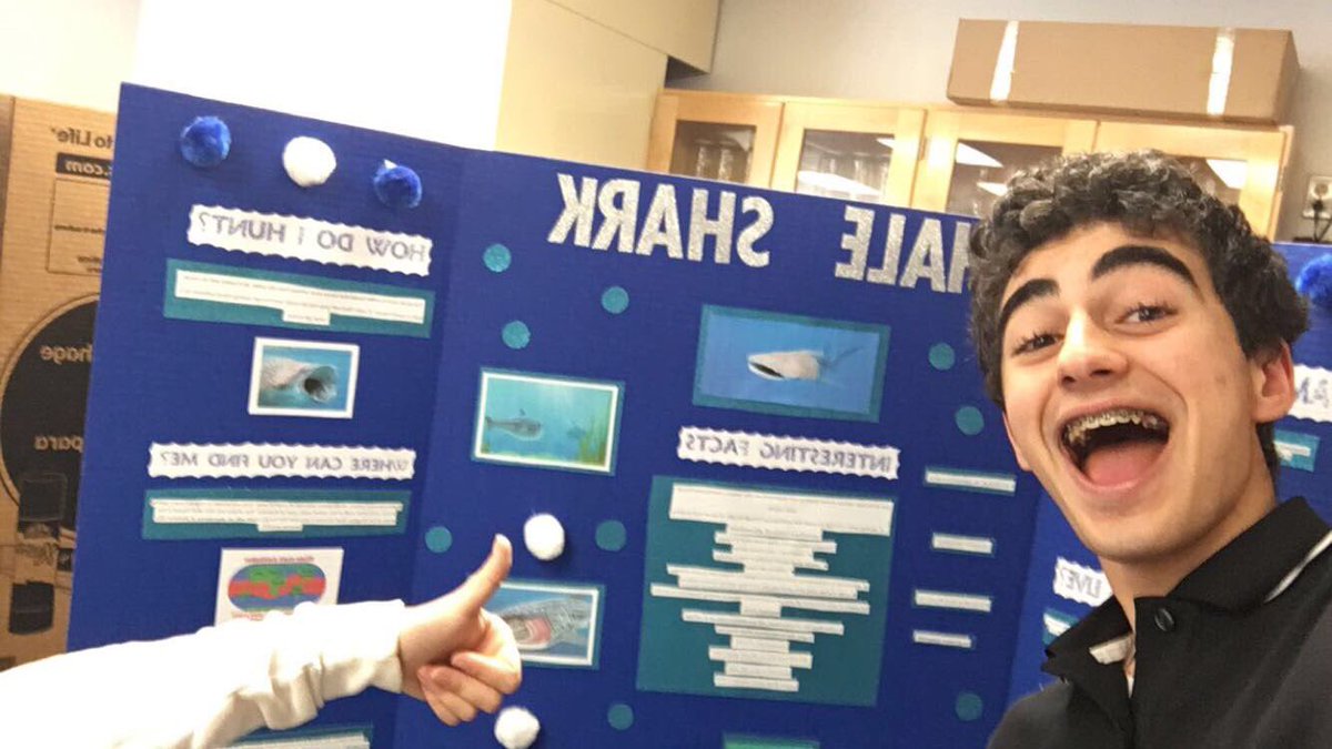 SawshaSawShark's tweet image. Whales sharks can give birth to up to 400 pups #a1project