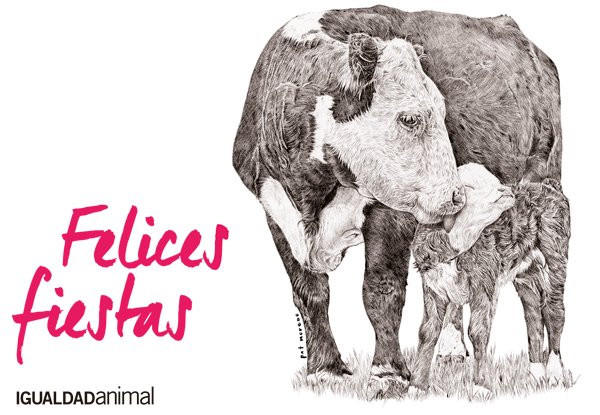 Igualdad Animal tweet media