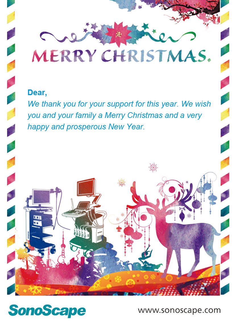 We wish you a Merry Christmas and happy New Year!