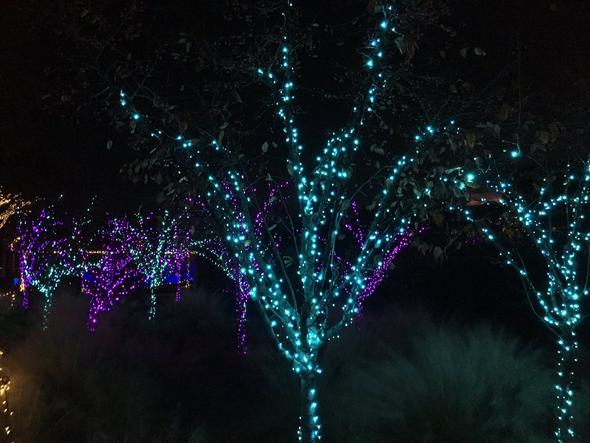 So cool that we sponsor this!!! <a href="/thehomedepot/">The Home Depot</a> <a href="/AtlBotanical/">Atlanta Botanical Garden</a>