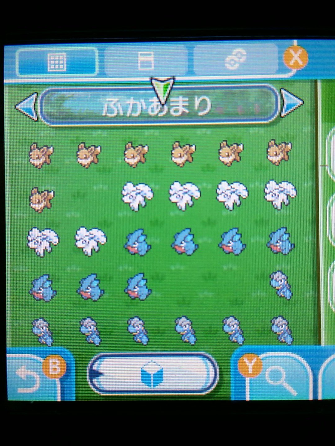 てる ポケモン垢 Dougayouteru Twitter