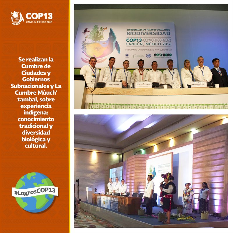 Distintas cumbres con un sólo propósito, integrar la #biodiversidad y generar nuevas propuestas para el desarrollo. #COP13 #LogrosCOP13