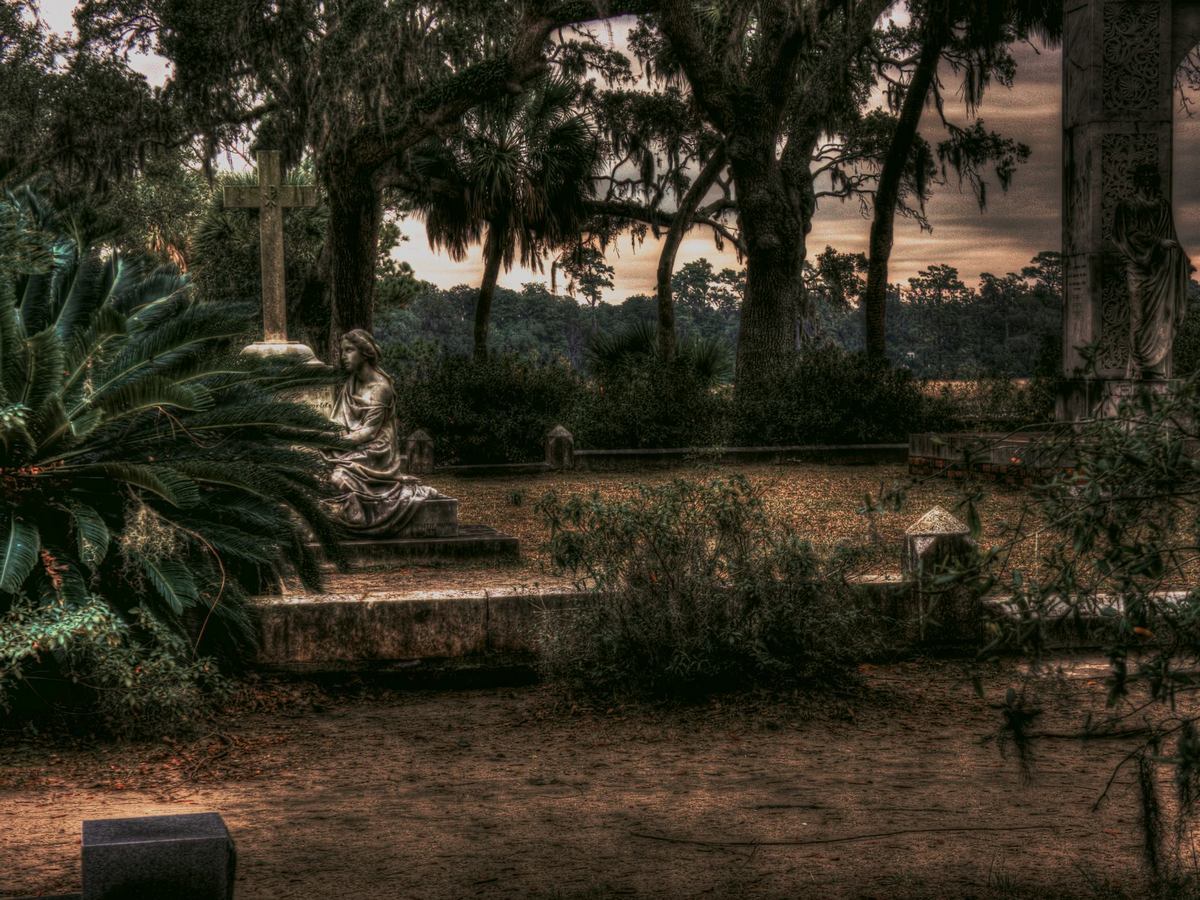 Blue Orb Tours: Fun and enjoyable Blue Orb Savannah Ghost Tours! My family decided to booked... #familytravel #tours thingstoodo.com/blue-orb-tours…