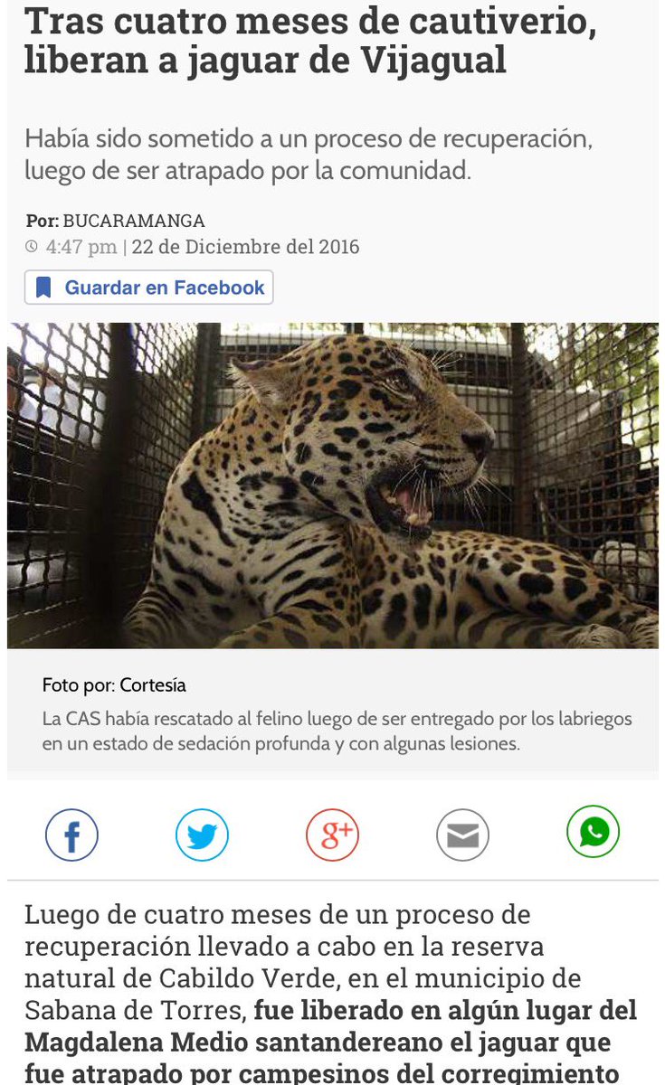 LuisGMurillo's tweet photo. Valoro estas acciones de reconciliación con nuestra naturaleza. Ahora el compromiso debe ser proteger su hábitat. https://t.co/yq8eq0tCj0 https://t.co/NeGwfAPWJ4