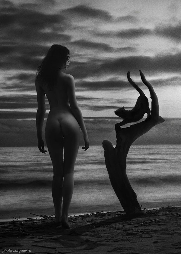 n0tfeeling's tweet photo. Сергеев Александр #photography https://t.co/UnyM9MidMC