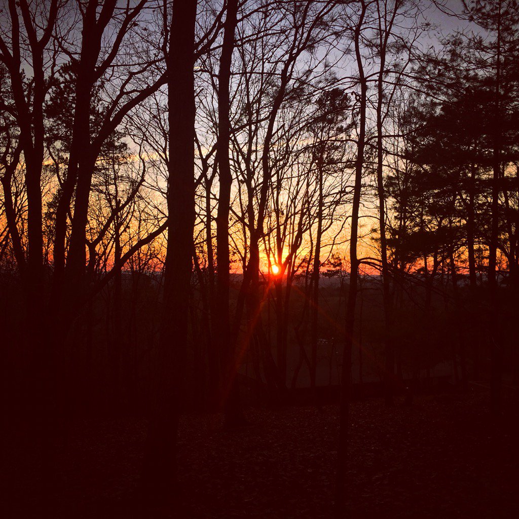 Günter Seeger tweet media