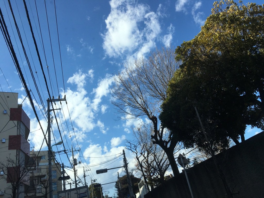 YojiNoda1's tweet photo. looks like Summer sky

ほら https://t.co/H0XaOpVJM5