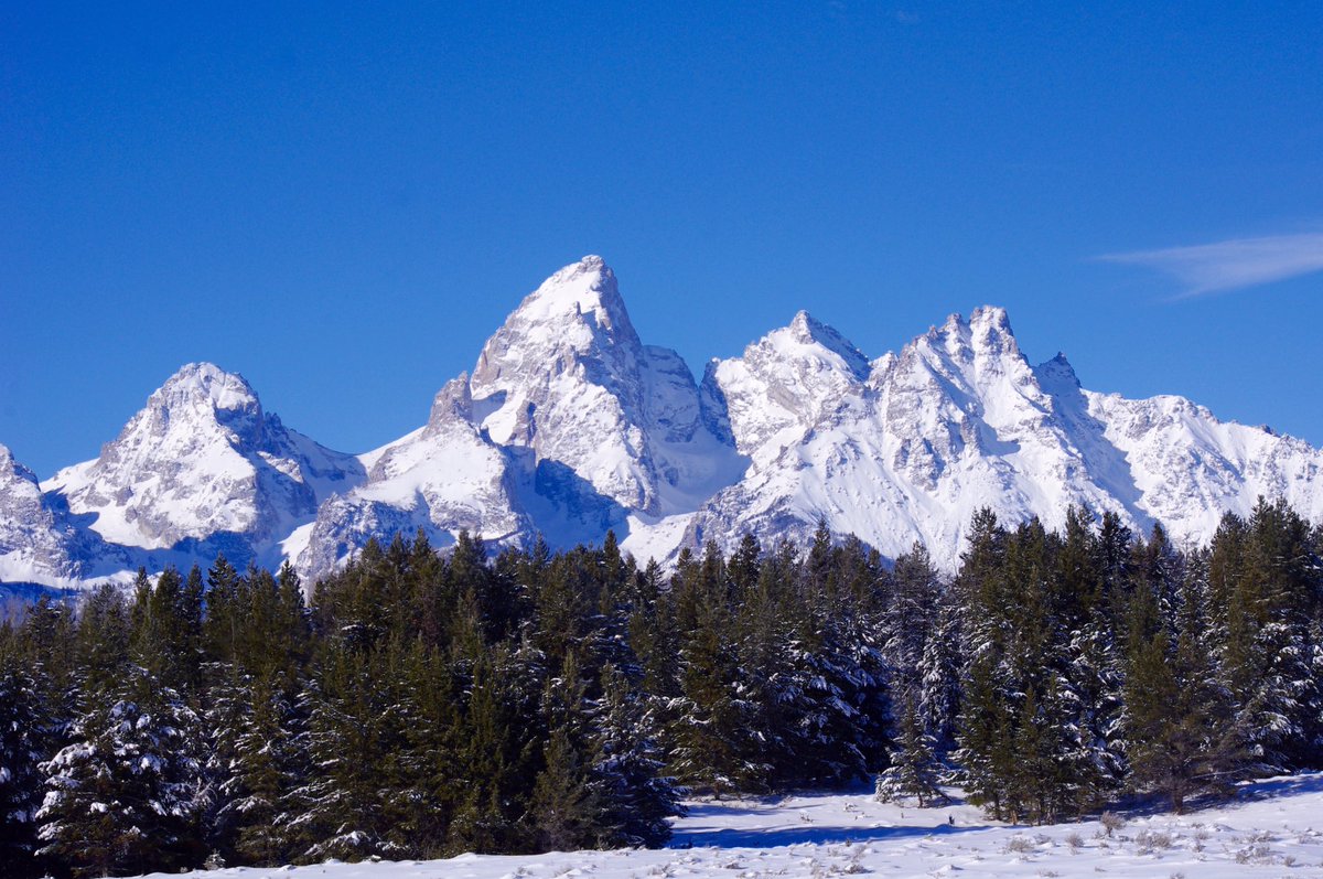 shamilton12's tweet photo. Jackson Hole, Wyoming🏔 https://t.co/wFbOsOTNSG